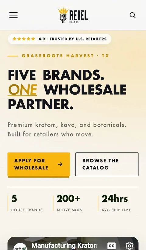 Rebel X Brands homepage on desktop and mobile